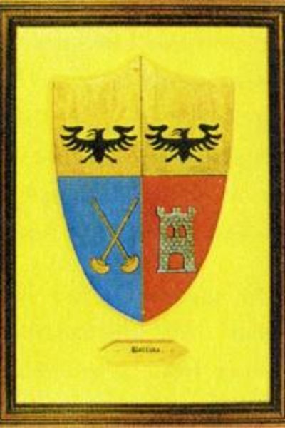VEDI-BISSONE-Stemma-della-famiglia-Bollina
